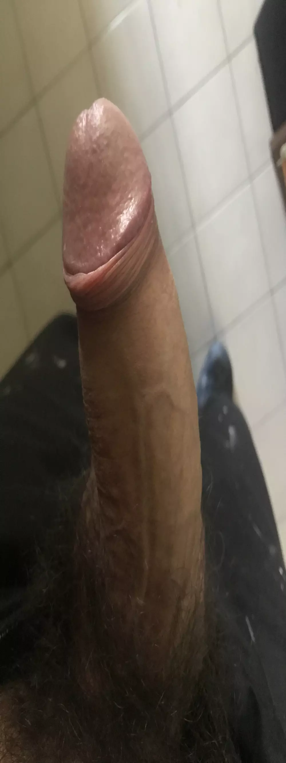 20cmydick