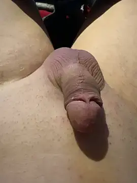 Stripchat Free Porn Cam of Hamsterdich