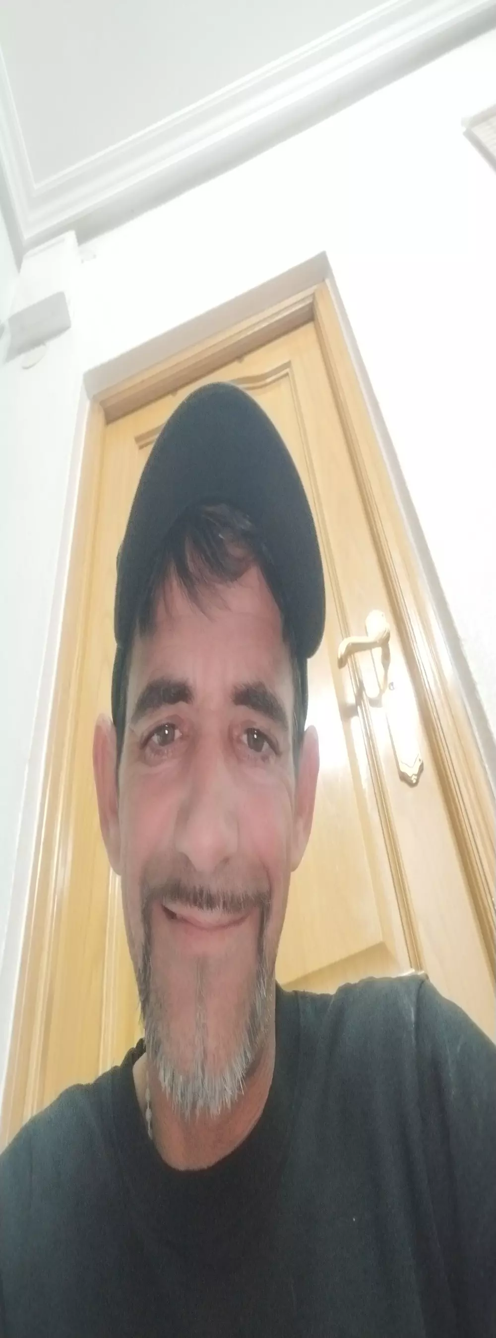 palomo41