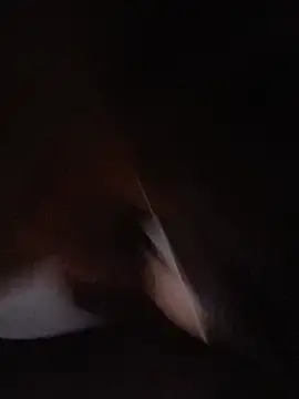 Stripchat Watch Live Sex Cams of sebasxx97