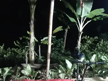 Stripchat Adult Webcams of esmeralda_li