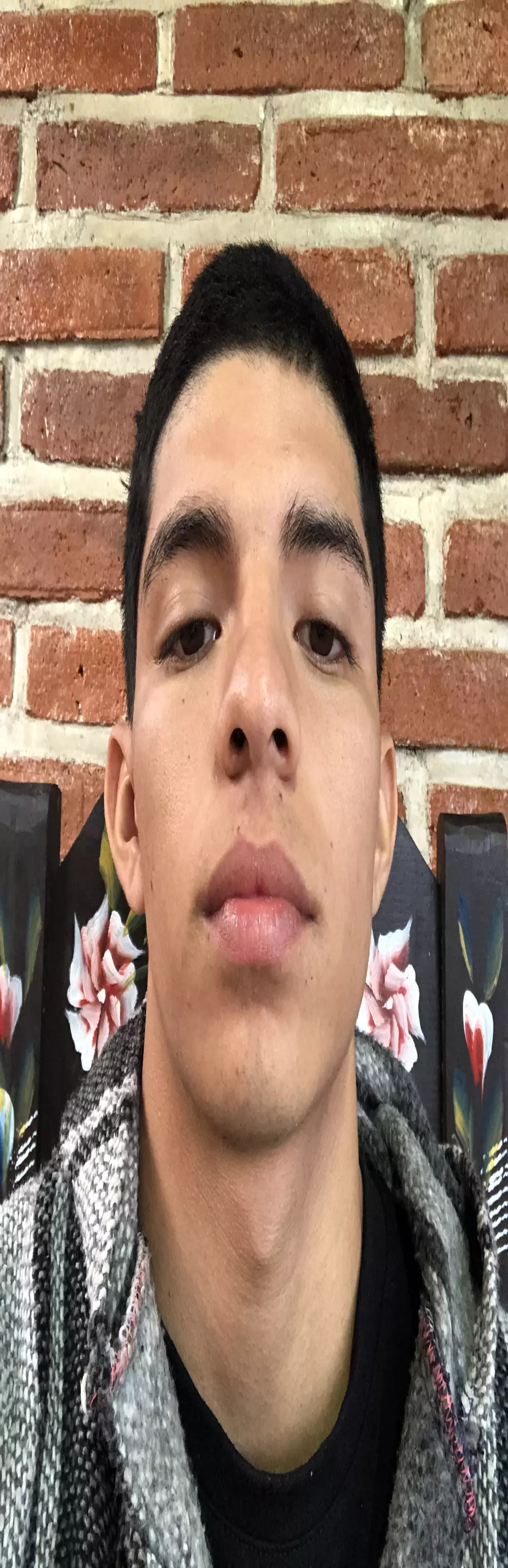 Fernandoganvez