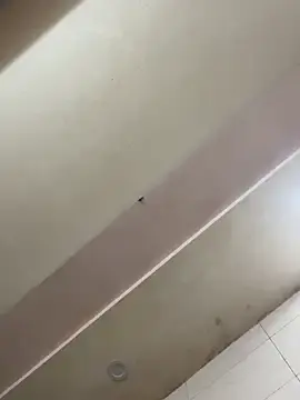 Stripchat Free Porn Cam of Liness101