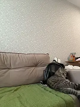 Stripchat Watch Live Sex Cams of RinaCat
