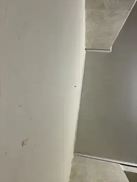 Stripchat Best Webcam of AliceStarshine