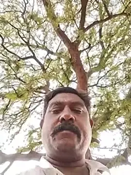 Stripchat Live Sex Cam of ApposedBearingtamilnadu