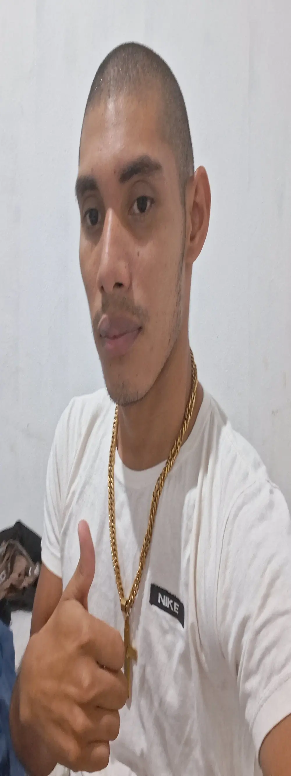 gingavi