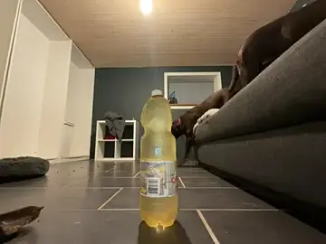 Stripchat Sex Cam of _my_ass_