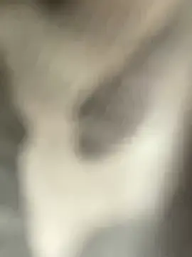 Stripchat Sex Chat of hintly