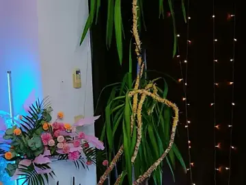 Stripchat Best live sex cam show of Ariana_Petite