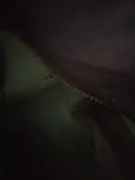 Stripchat Best live sex cam show of DannaDooll99