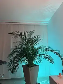 Stripchat Free Live Porn of morganaramirez