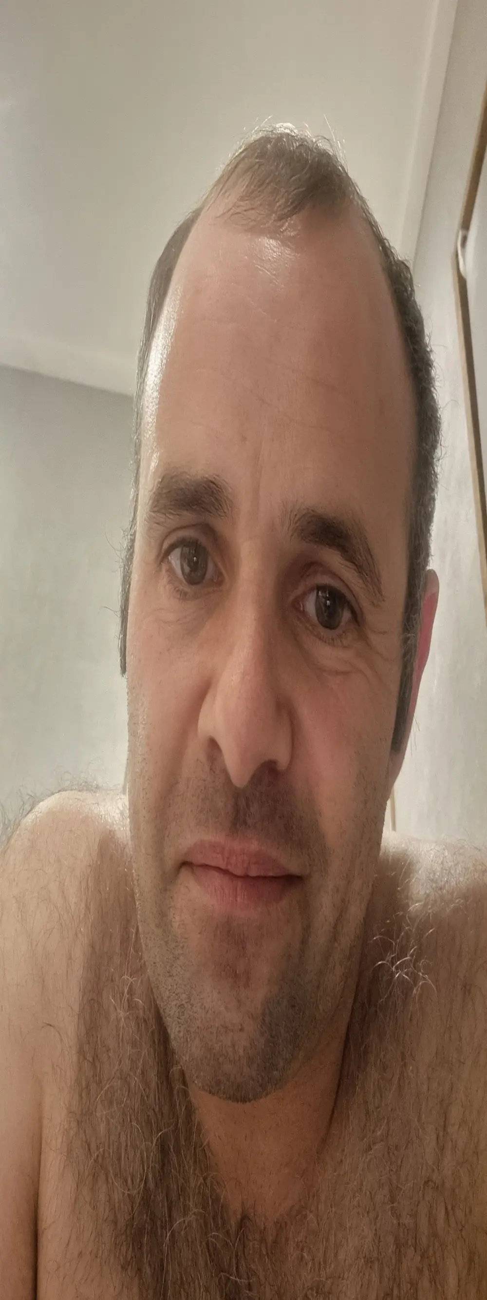 BigDorset8360