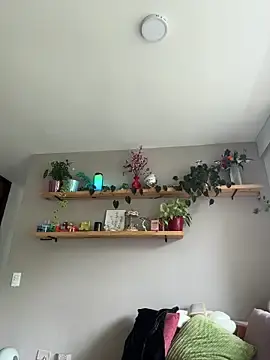 Stripchat Free Porn Cam of SugarTroubl33