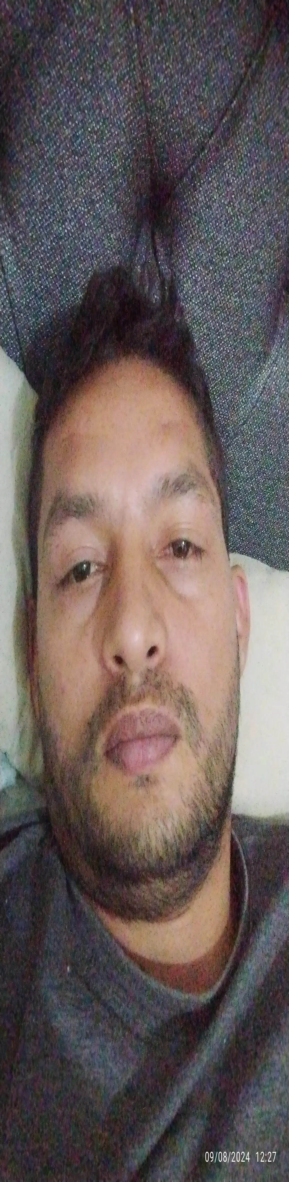 guestar