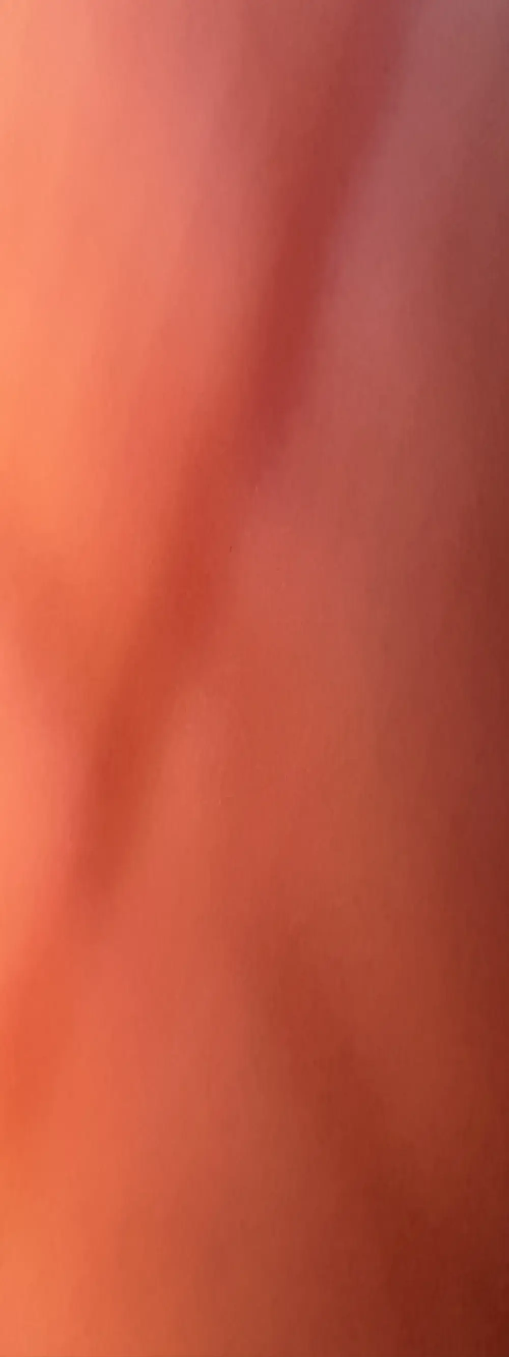 Porcopalestratocazzone21