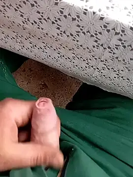 Stripchat Adult Webcams of fickfreund019