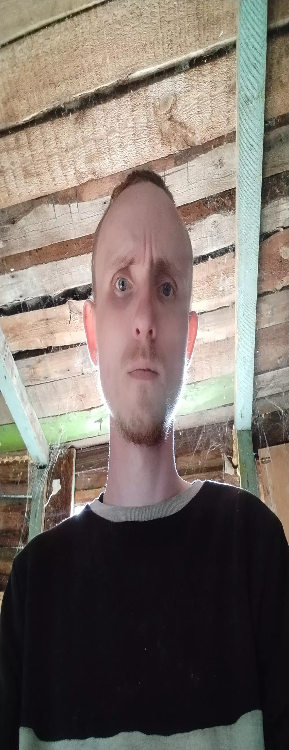 Babi_Kisi