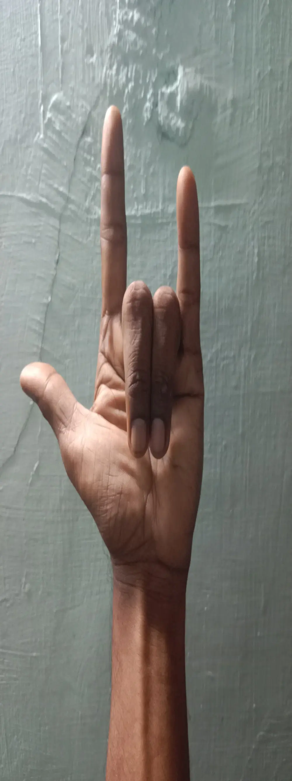penisart555