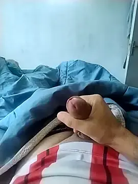 Stripchat Adult Webcam of engineer_1980