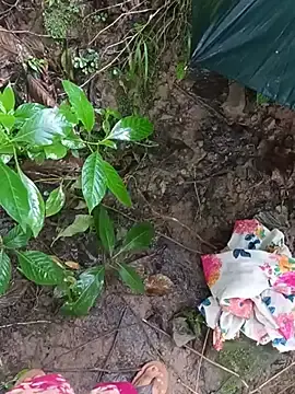 Stripchat Live Sex of YOURBHABI143
