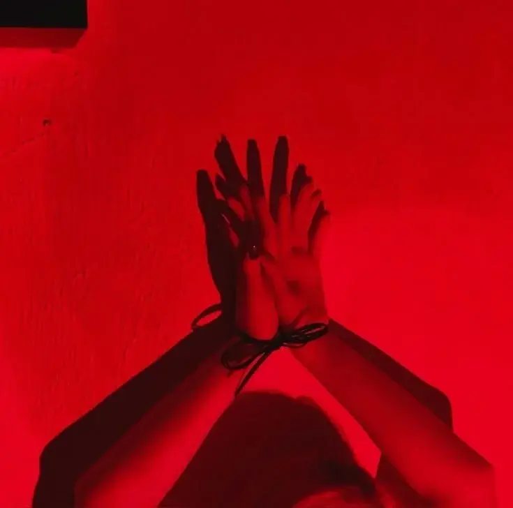 SecretDarkRoomXO