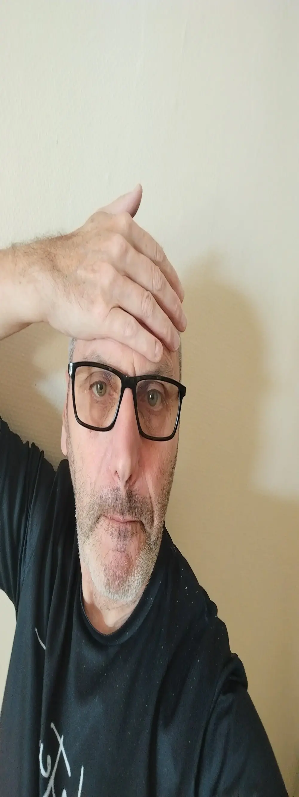 Philebranleur