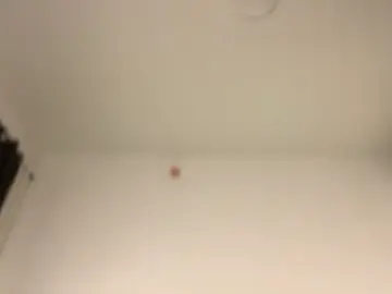 Stripchat Sex Chat of UdeleBarns