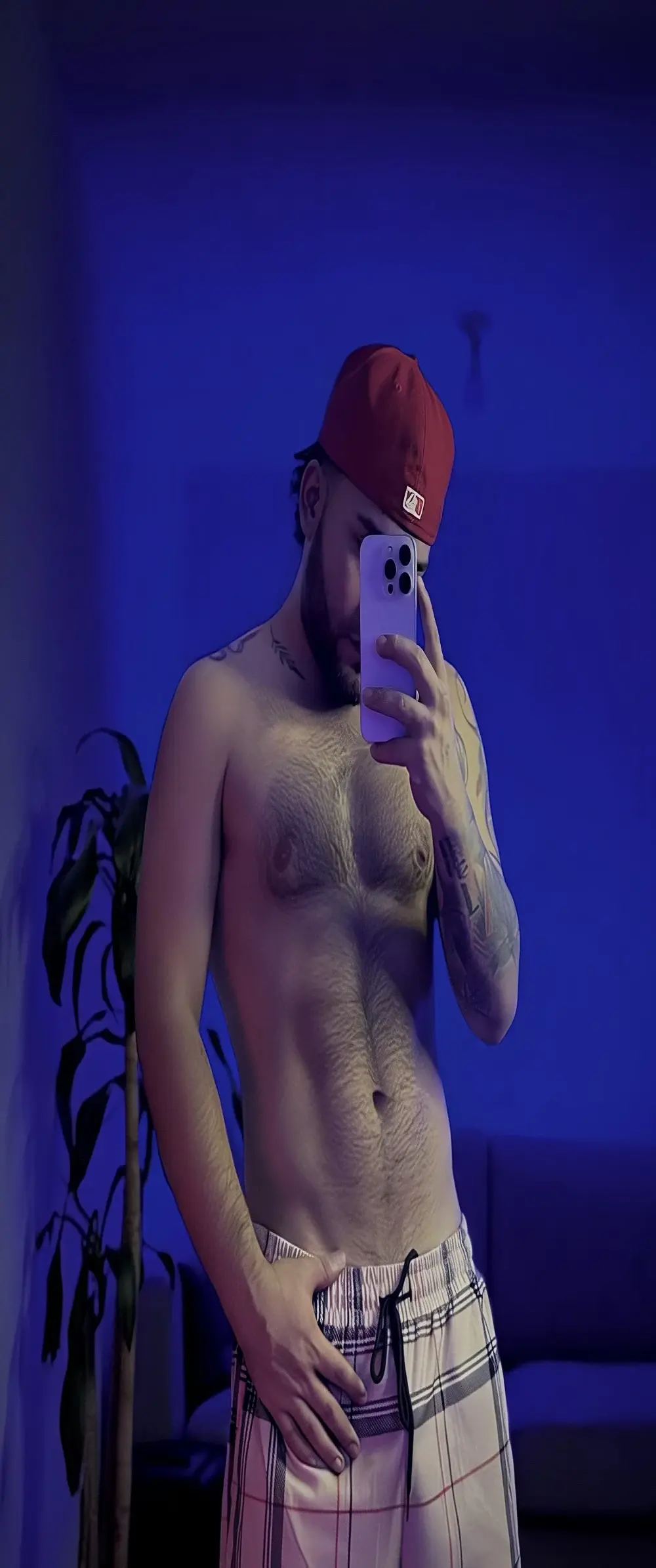 sebbaspo