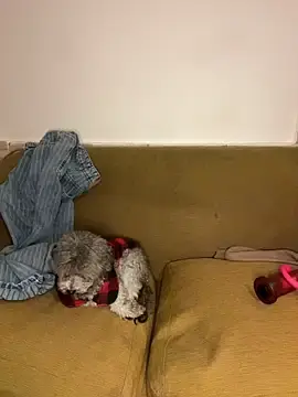Stripchat Best live sex cam show of sweetaddictionbyThy