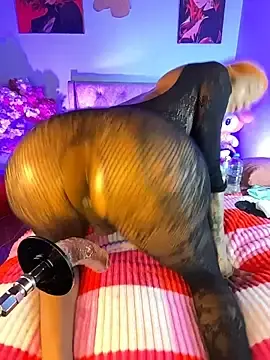 Stripchat Free Live Porn of Naugth_channel_ts
