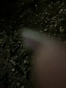Stripchat Free Live Porn of LaraHollywood