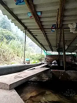 Stripchat Private Sex Chat of -Kem-01