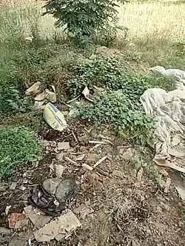 Stripchat Free Live Porn of COUPLLE_VILLAGE