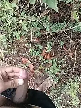 Stripchat Live Porn of Forest_lover24