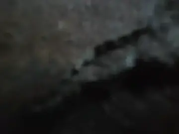 Stripchat Adult Webcam of pdoc07