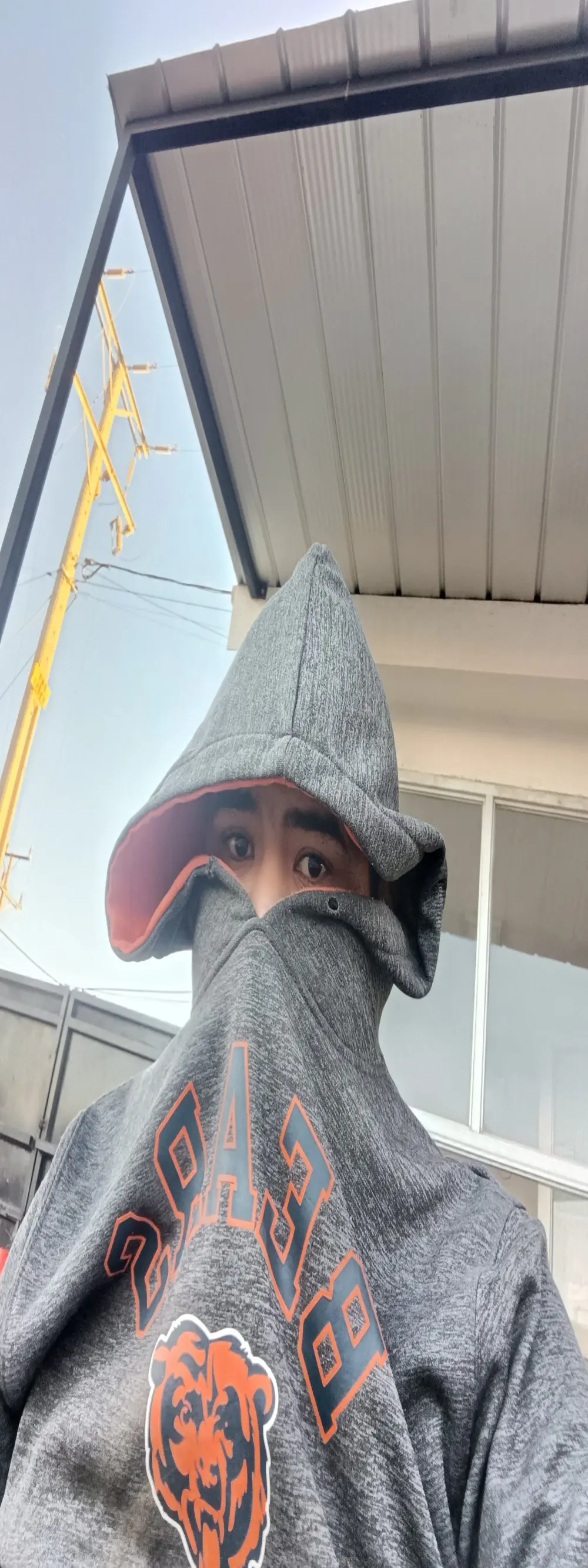 pedritolobito