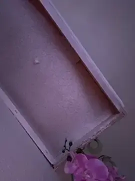 Stripchat Nude Webcam of Lickplayofficial