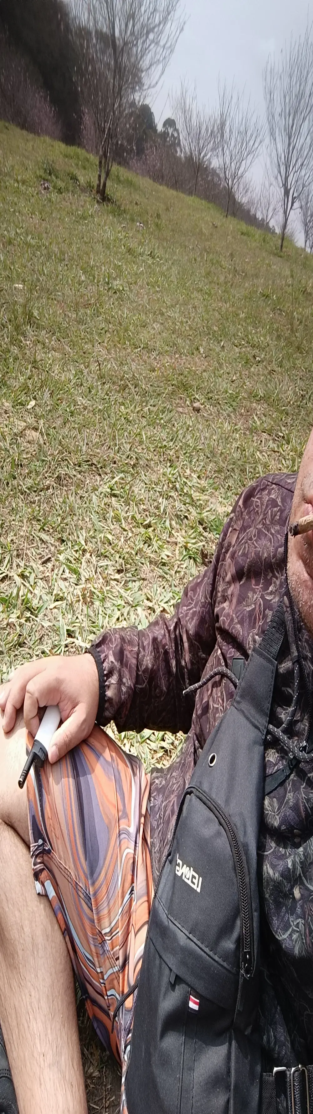 UrsoBissexualPauGrosso