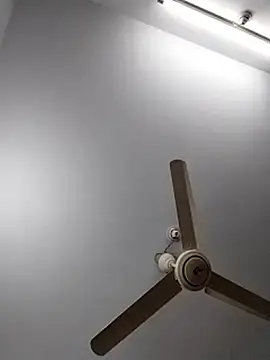 Stripchat Sex Chat of BD_sunny_leone