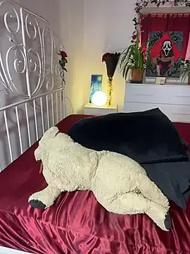 Stripchat Adult Webcam of Tahero_98