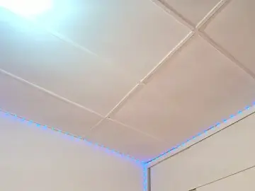 Stripchat Free Porn Cam of cat_nasty