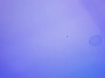 Stripchat Sex Chat of Marily_Daniela_