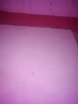 Stripchat Live Sex Cam of Soyshelly