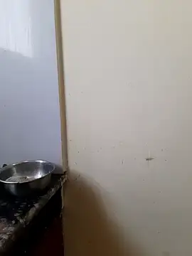 Stripchat Watch Live Sex Cams of sexy_shital