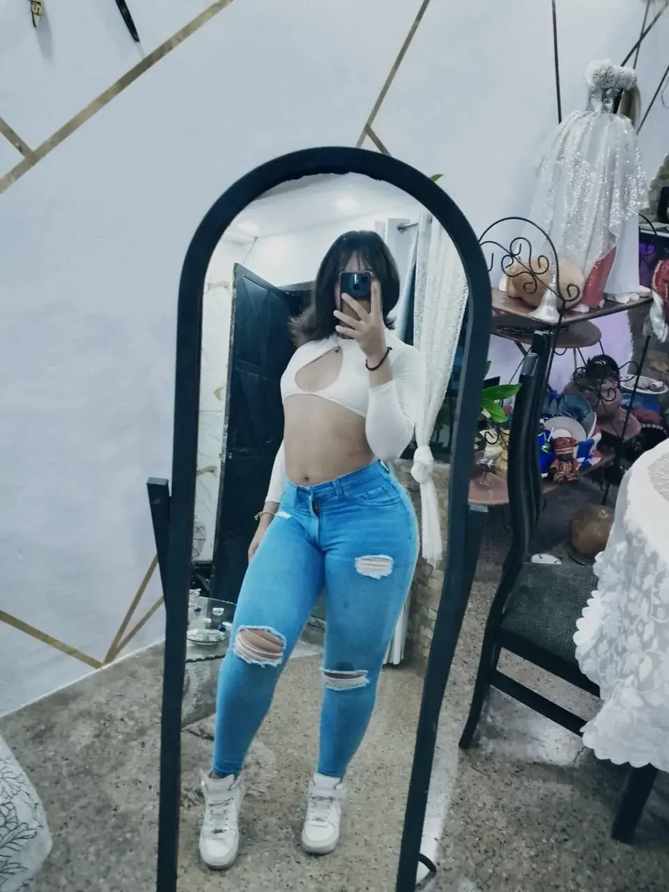 Vanessapintoo