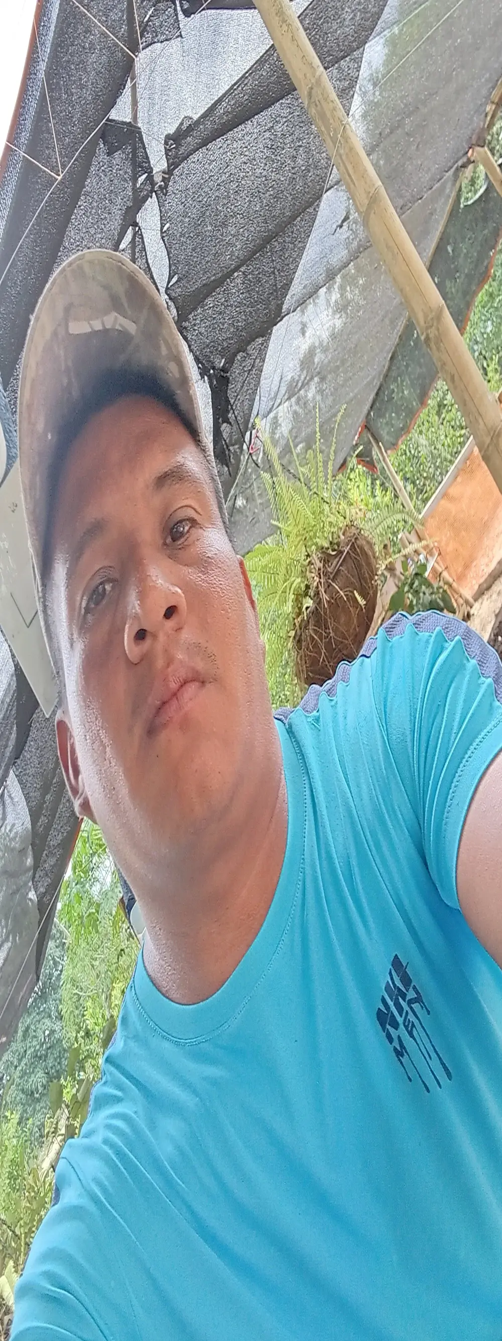 Lafincs