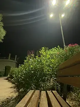 Stripchat Best live sex cam show of AlyssaFoxx_