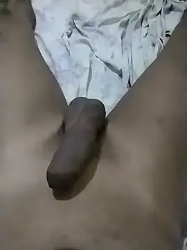 Stripchat Free Live Porn of Novinhoie