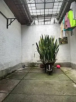 Stripchat Private Sex Chat of oliver_price1